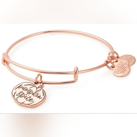 Alex and Ani Jewelry - Alex and Ani Rose Gold Bracelet